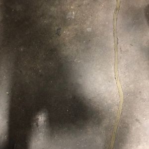 Meet your Posher, Winston